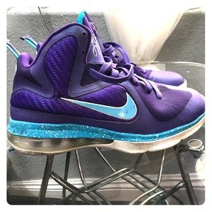 Nike Lebrons Hornet addition